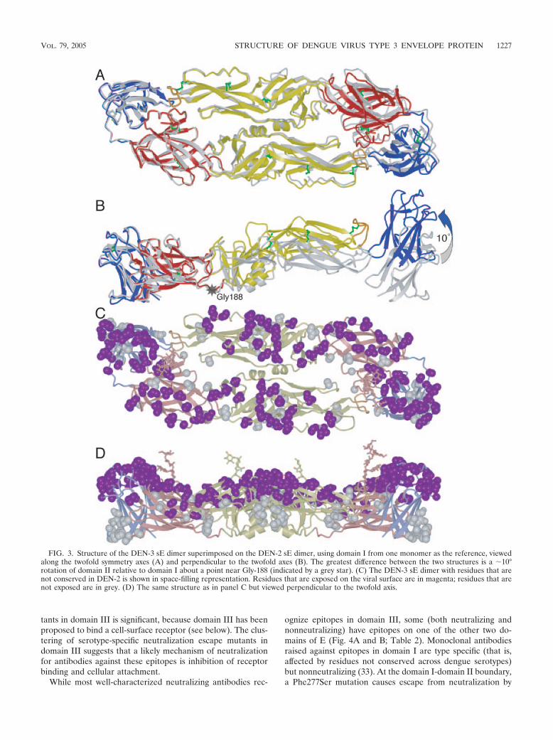 (PDF) Variable Surface Epitopes in the Crystal Structure of Dengue ...